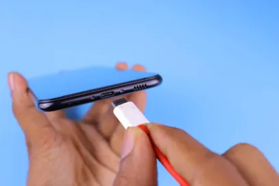 Winspark Casino App Mobile